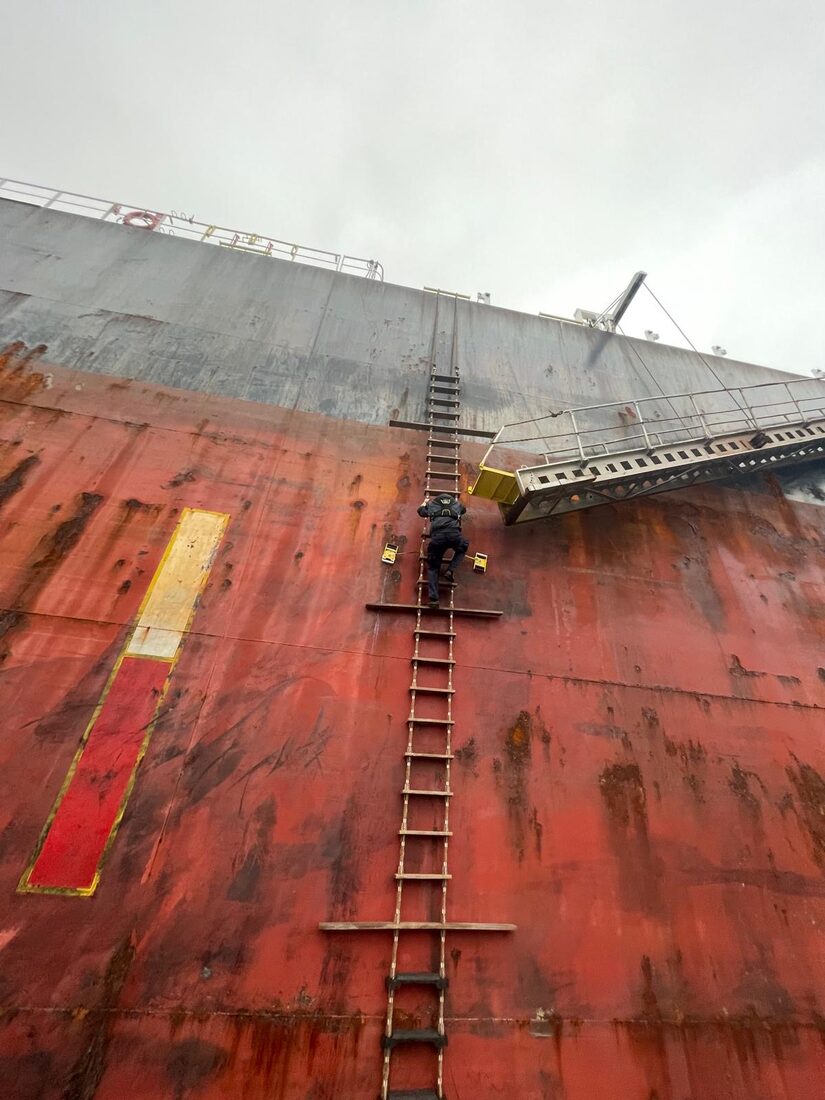 Escala de práctico apoyada en el casco de un buque